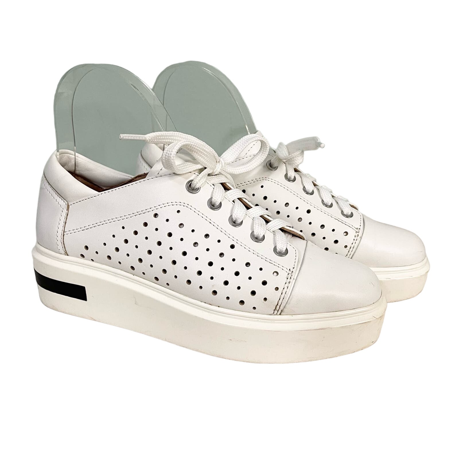 Linea Paolo Sneakers Women 5m White Leather Oxford Kendra Platform Perforated